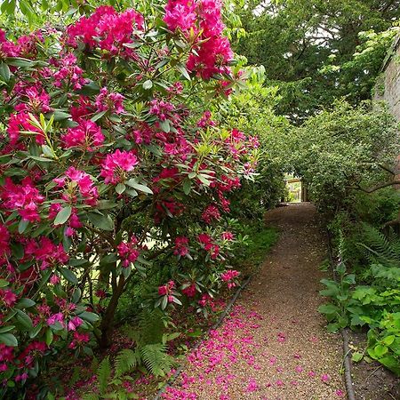 Boreham House Herstmonceux Экстерьер фото