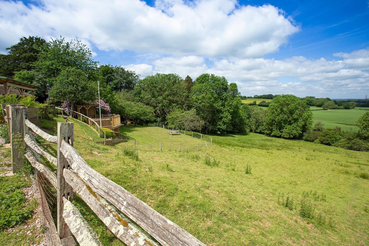 Boreham House Herstmonceux Экстерьер фото