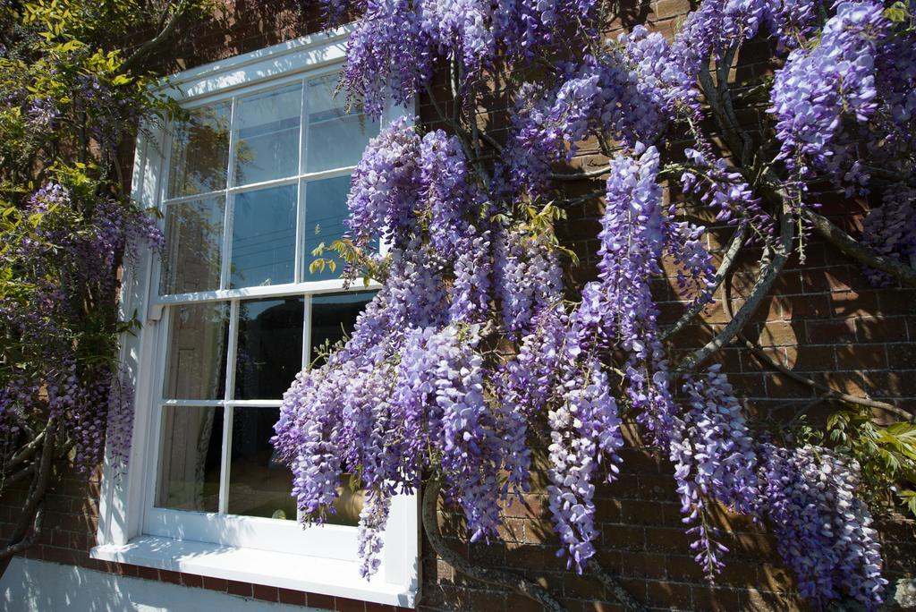 Boreham House Herstmonceux Экстерьер фото